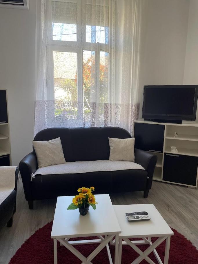 Apartment Milijana Subotica Exteriér fotografie